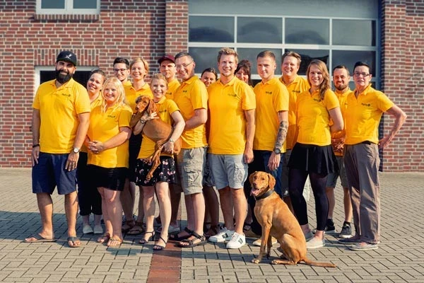 Verständnis Training