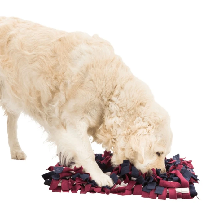 Hund mit Schnüffelteppich